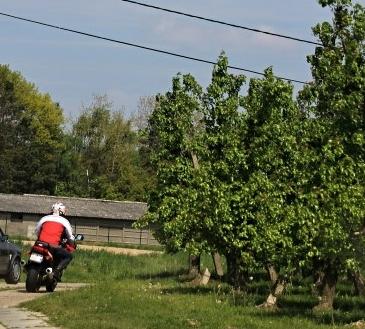 Tucimani ritje op 6-5-2017_(147).JPG=.JPG